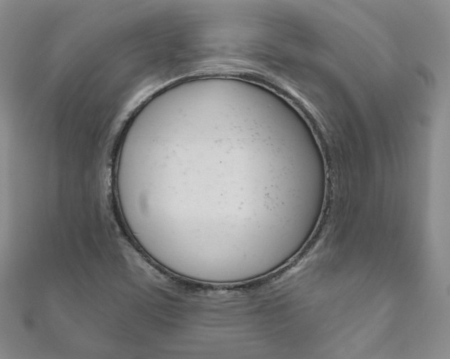X0000111161459200906301048