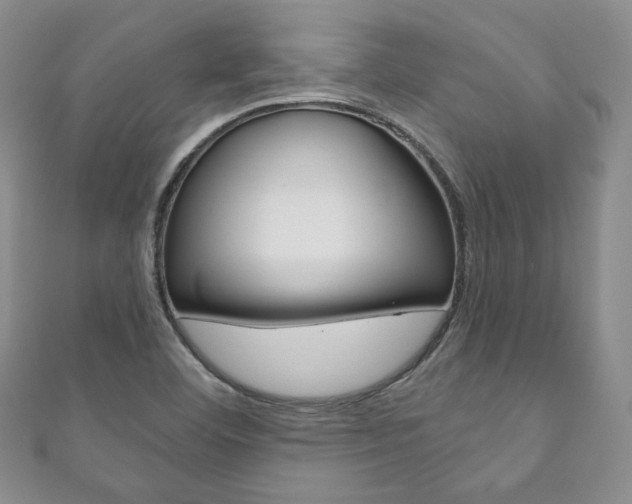 X0000111161460200906301048