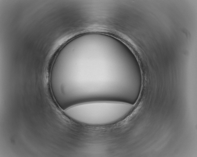 X0000111161461200906301048
