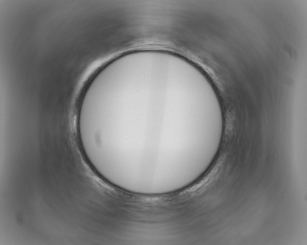 X0000111161462200906301048