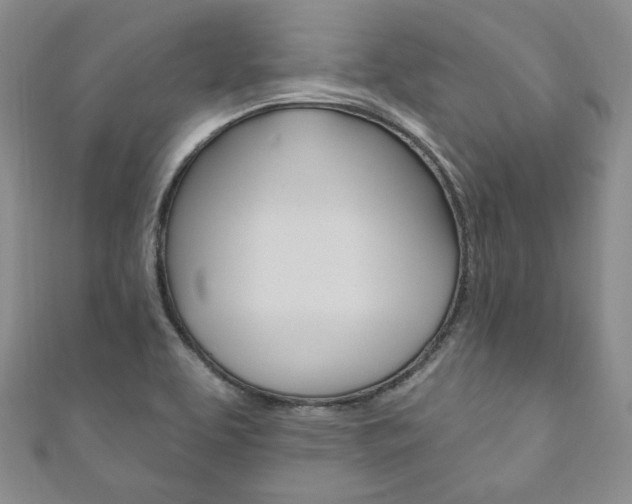 X0000111161463200906301048