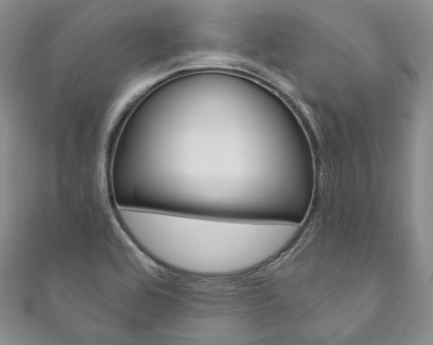 X0000111161464200906301048