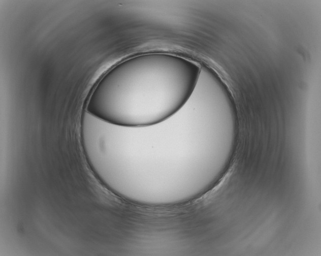 X0000111161465200906301048