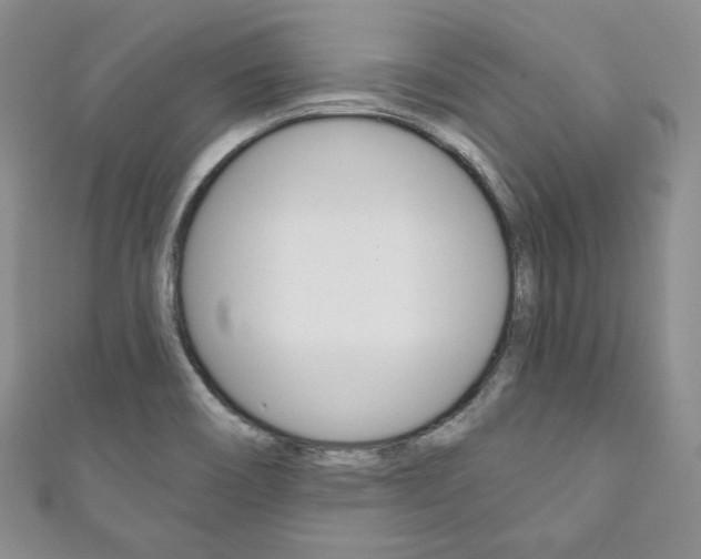 X0000111161466200906301048