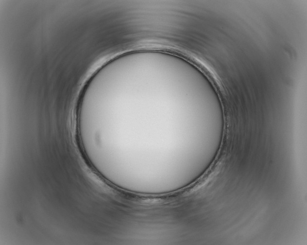 X0000111161467200906301048