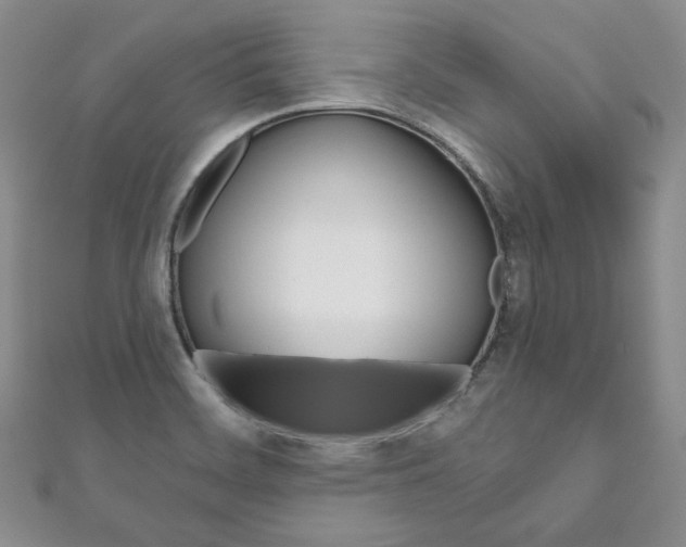 X0000111161468200906301048