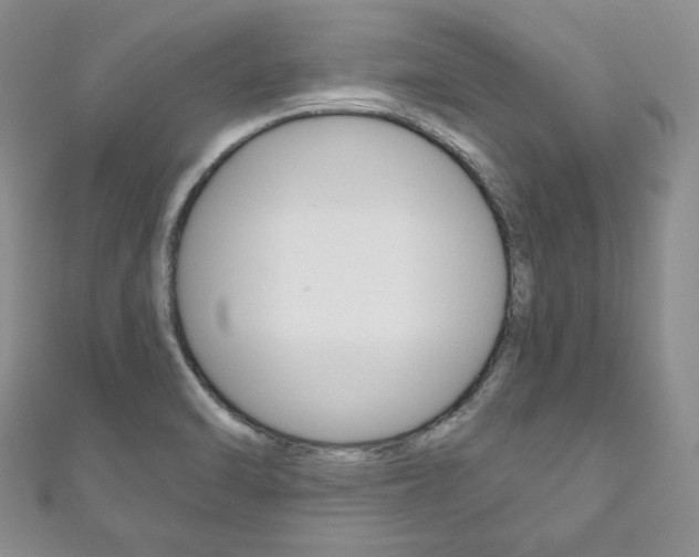 X0000111161470200906301048