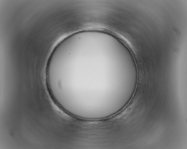 X0000111161471200906301048
