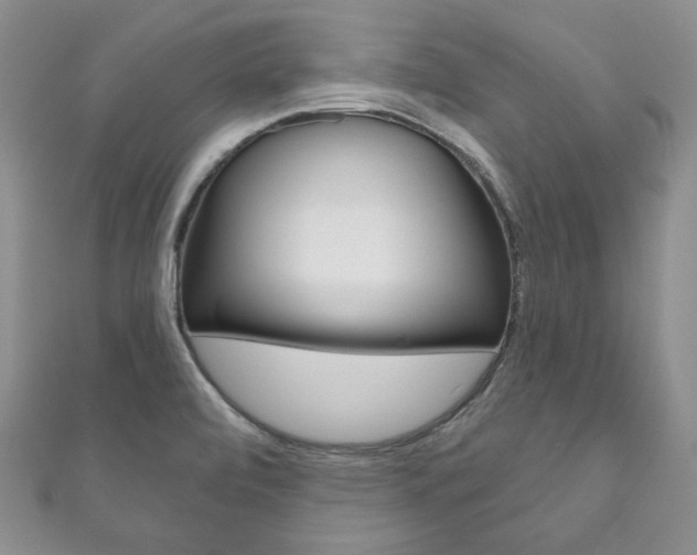 X0000111161472200906301048
