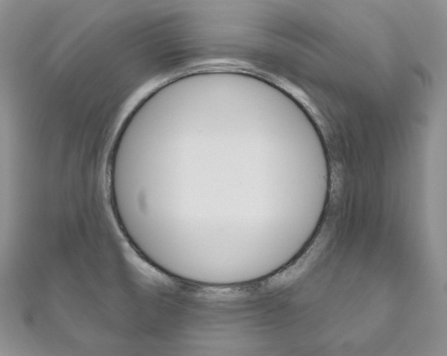 X0000111161474200906301048