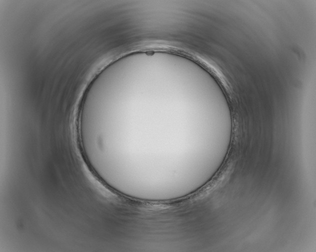 X0000111161475200906301048