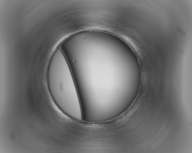 X0000111161476200906301048