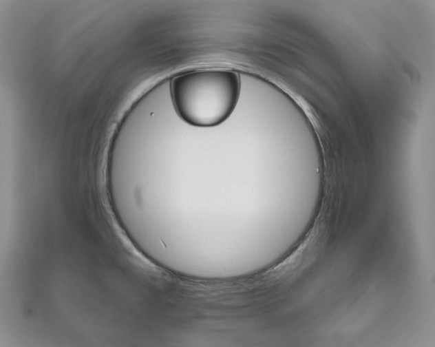 X0000111161477200906301048