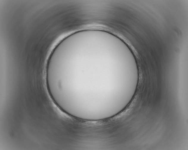 X0000111161478200906301048