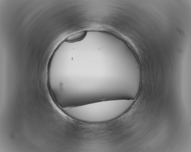 X0000111161479200906301048
