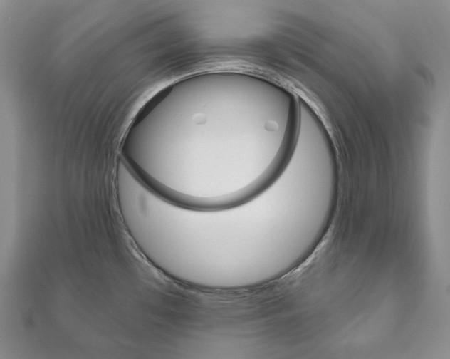 X0000111161481200906301048