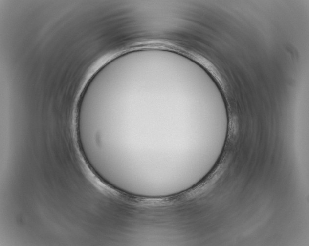 X0000111161482200906301048