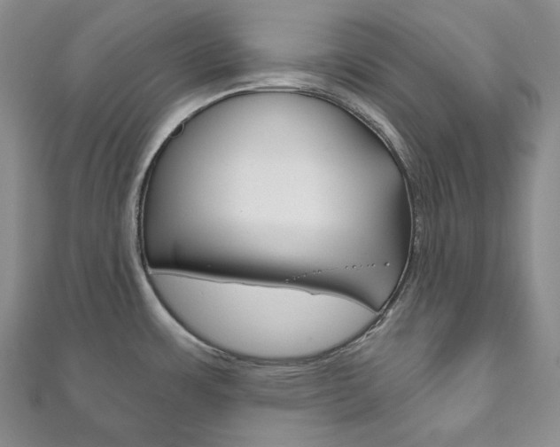 X0000111161483200906301048