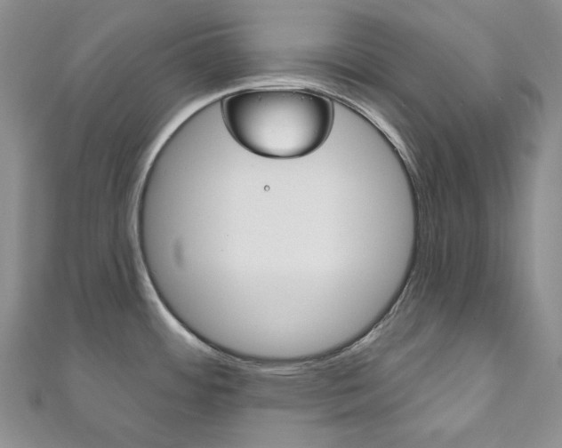 X0000111161484200906301048
