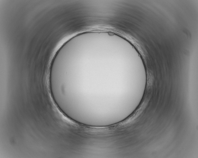 X0000111161486200906301048
