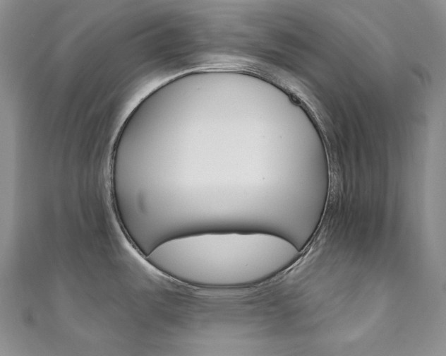 X0000111161487200906301048