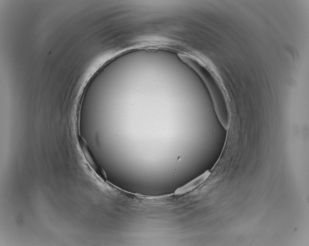 X0000111161488200906301048