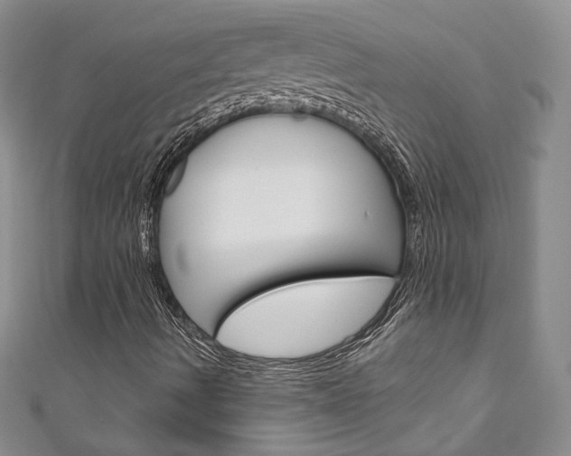X0000111161490200906301047