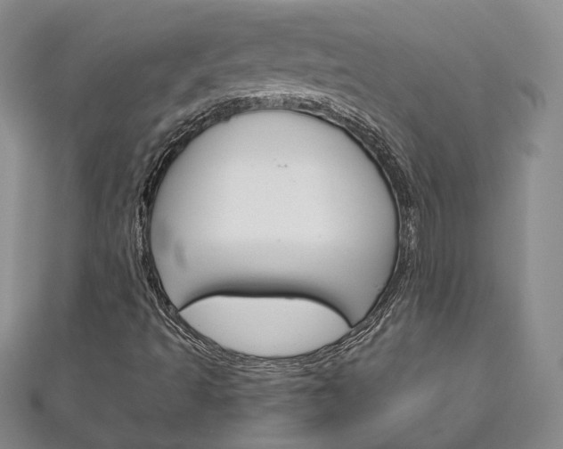 X0000111161493200906301047