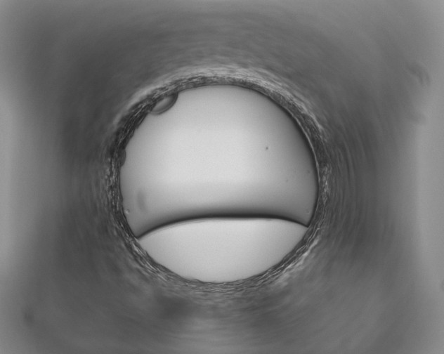 X0000111161494200906301047