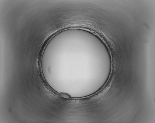 X0000111161497200906301047