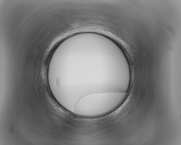 X0000111161498200906301047