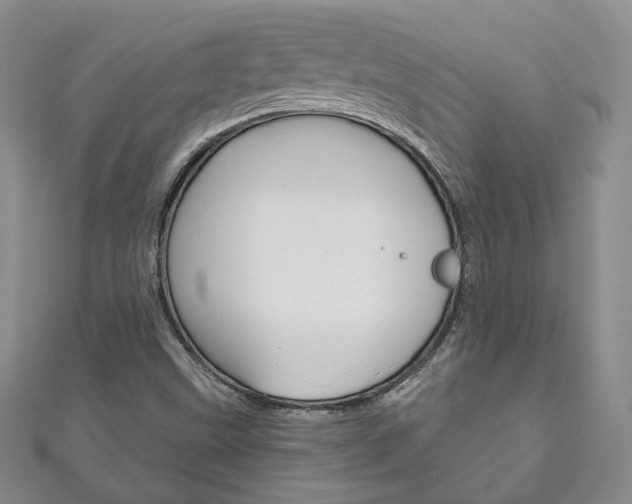 X0000111161499200906301047