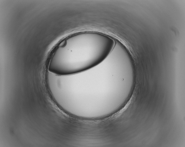 X0000111161502200906301048