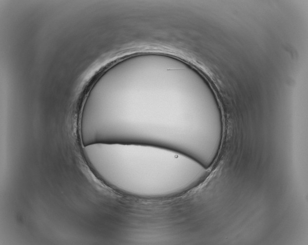 X0000111161503200906301048