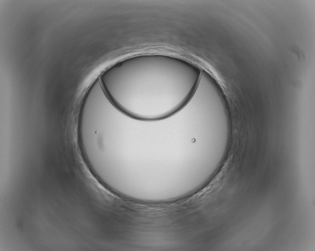 X0000111161504200906301048