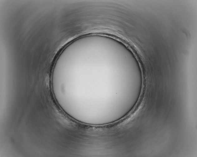 X0000111161505200906301048