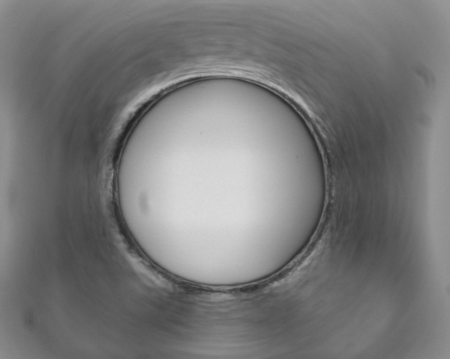 X0000111161507200906301048