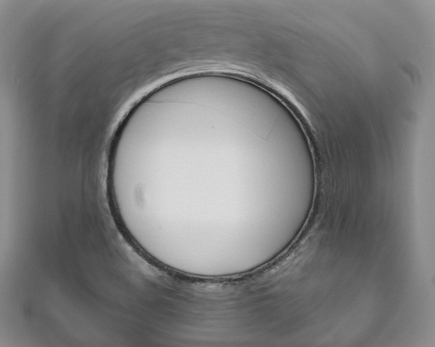X0000111161508200906301048