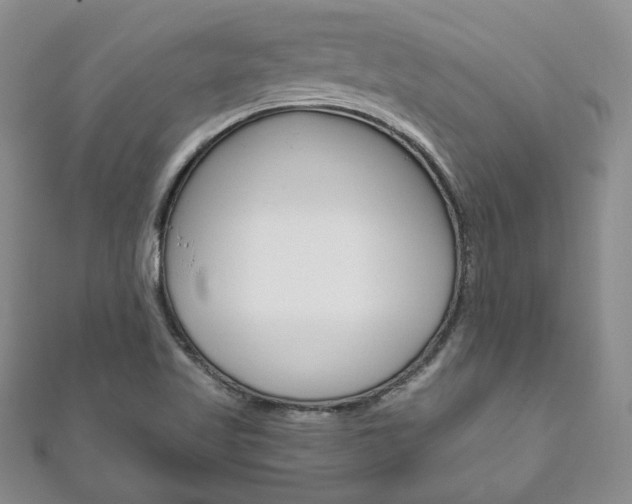X0000111161509200906301048