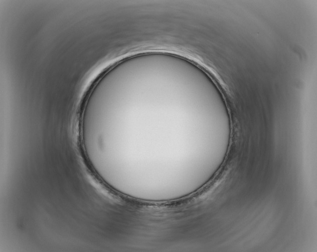 X0000111161511200906301048