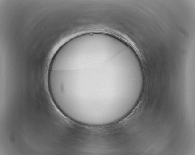 X0000111161512200906301048