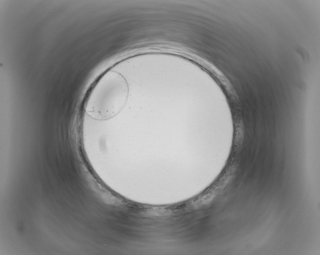 X0000111161514200906301048