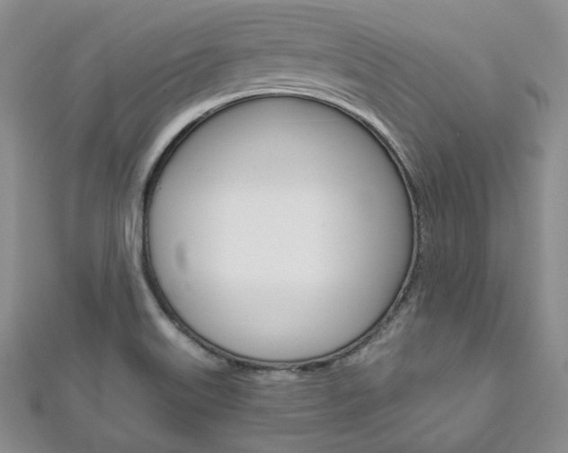 X0000111161515200906301048