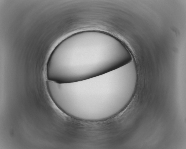 X0000111161516200906301048