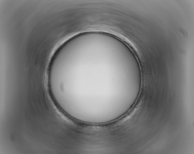 X0000111161517200906301048