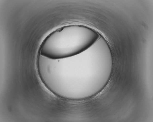 X0000111161518200906301048