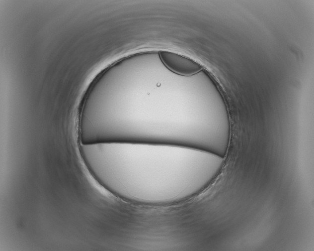 X0000111161519200906301048