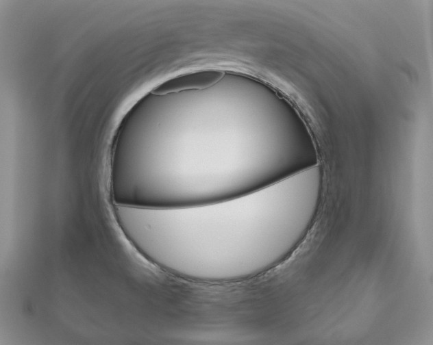 X0000111161520200906301048