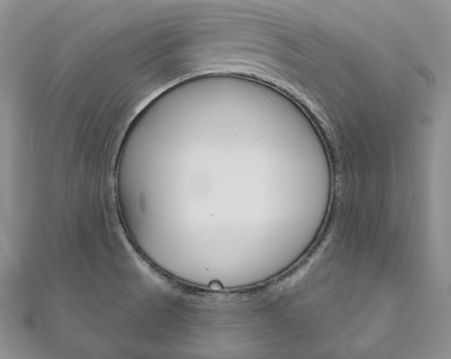 X0000111161521200906301048