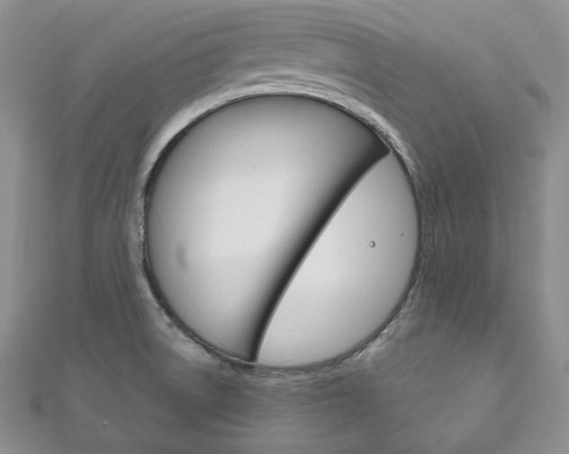 X0000111161522200906301048